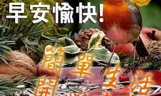 我们是快乐的好朋友