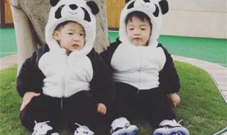 两熊猫同生双胞胎